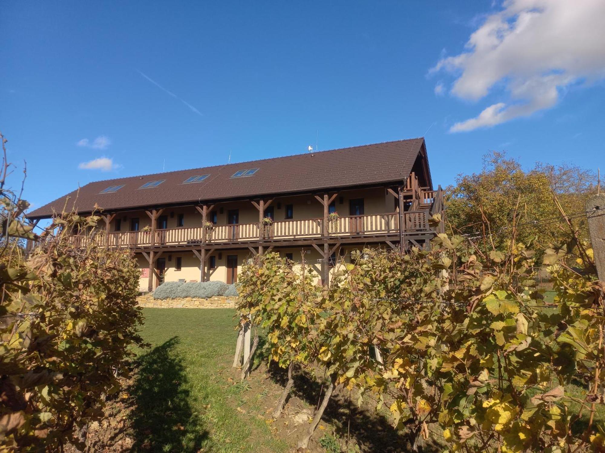 Penzion Ve Vinohradě Němčičky Exterior foto