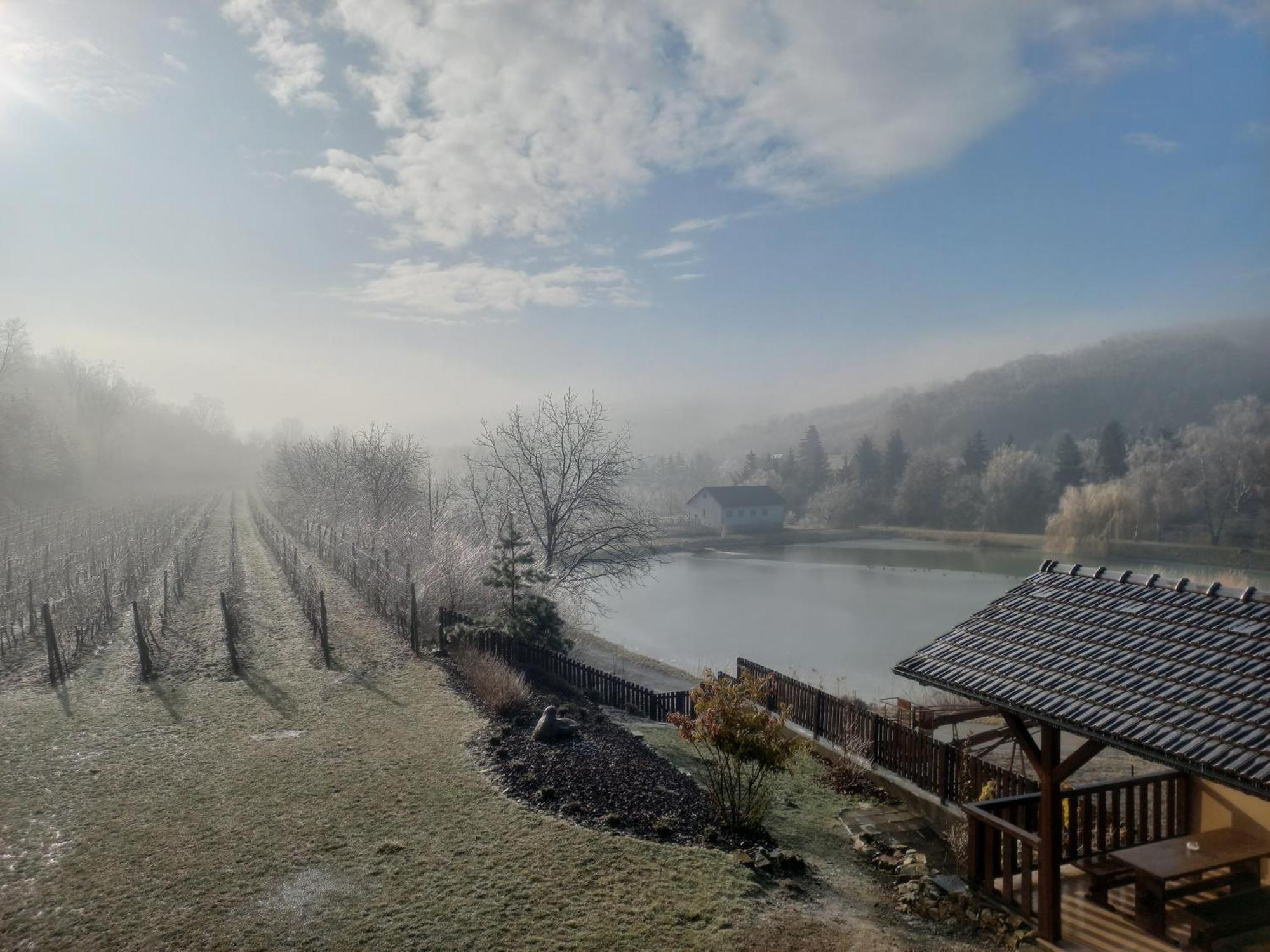 Penzion Ve Vinohradě Němčičky Exterior foto
