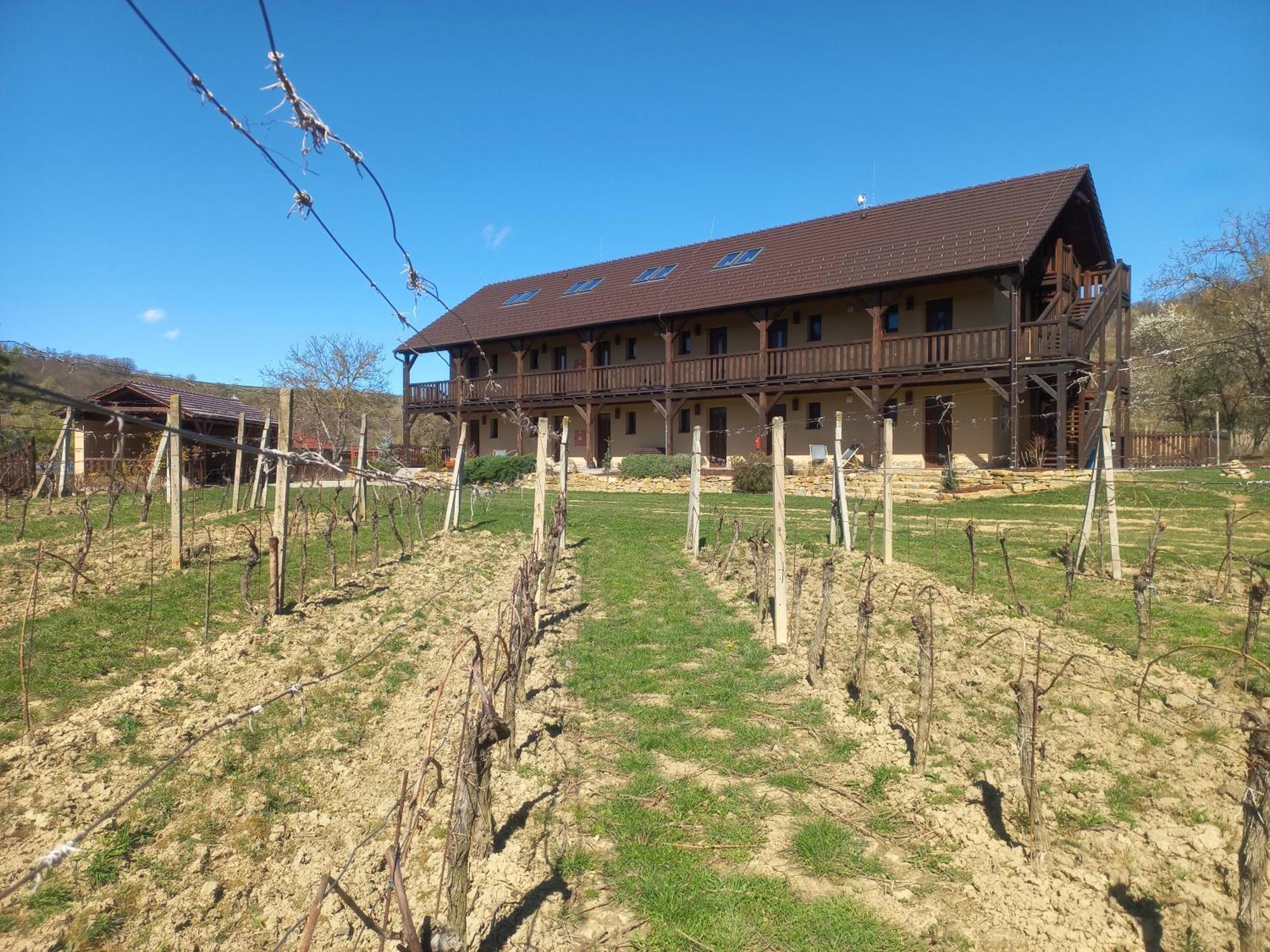 Penzion Ve Vinohradě Němčičky Exterior foto