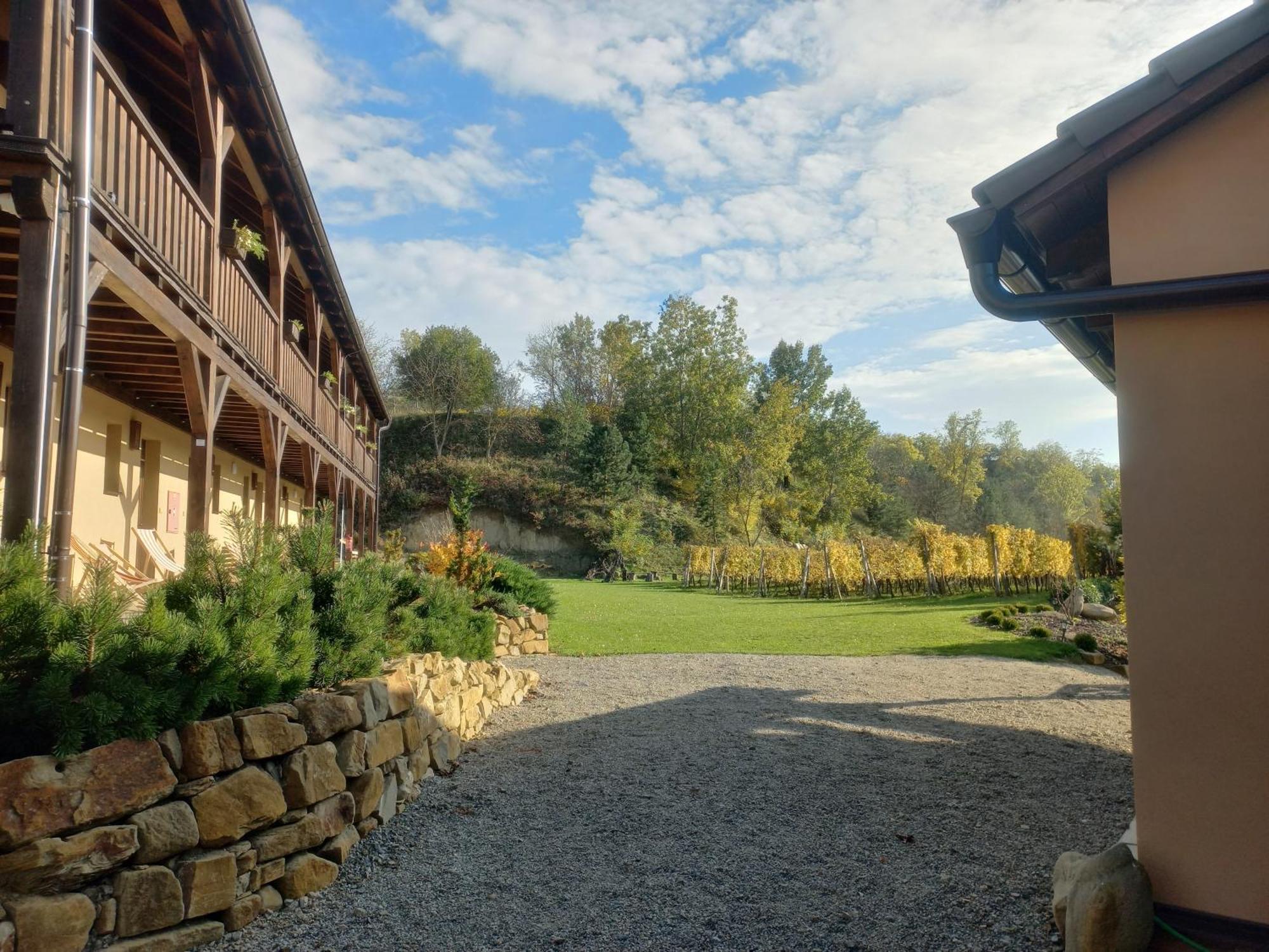 Penzion Ve Vinohradě Němčičky Exterior foto